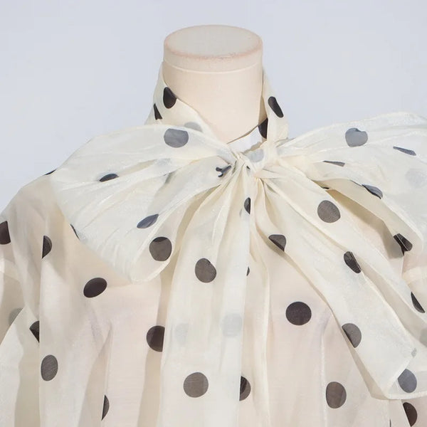 Sheer Polka Skirt Top Set